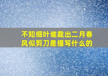 不知细叶谁裁出二月春风似剪刀是描写什么的