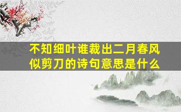 不知细叶谁裁出二月春风似剪刀的诗句意思是什么