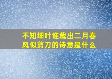 不知细叶谁裁出二月春风似剪刀的诗意是什么