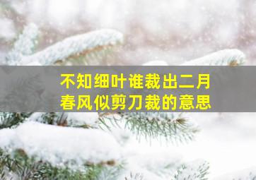 不知细叶谁裁出二月春风似剪刀裁的意思