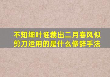 不知细叶谁裁出二月春风似剪刀运用的是什么修辞手法