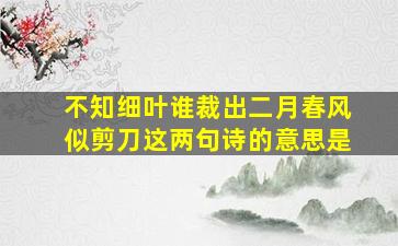 不知细叶谁裁出二月春风似剪刀这两句诗的意思是