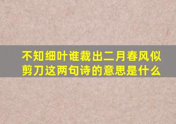 不知细叶谁裁出二月春风似剪刀这两句诗的意思是什么