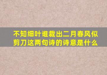 不知细叶谁裁出二月春风似剪刀这两句诗的诗意是什么