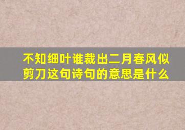 不知细叶谁裁出二月春风似剪刀这句诗句的意思是什么