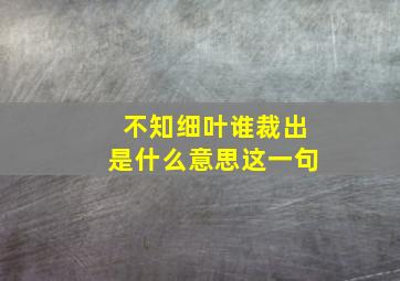 不知细叶谁裁出是什么意思这一句