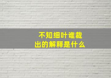 不知细叶谁裁出的解释是什么