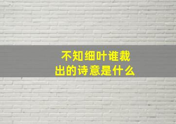 不知细叶谁裁出的诗意是什么