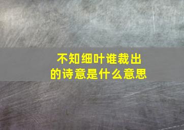 不知细叶谁裁出的诗意是什么意思