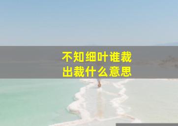 不知细叶谁裁出裁什么意思