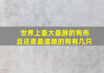 世界上最大最胖的狗而且还是最温顺的狗有几只