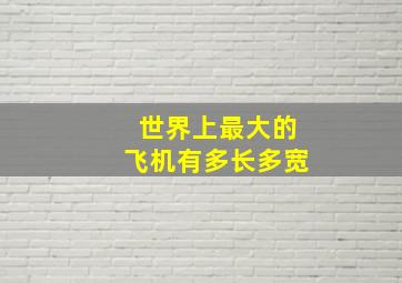 世界上最大的飞机有多长多宽