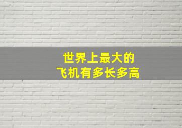 世界上最大的飞机有多长多高