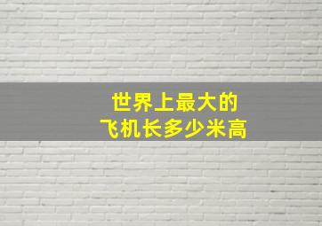 世界上最大的飞机长多少米高