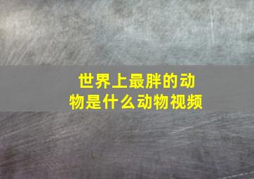 世界上最胖的动物是什么动物视频