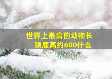 世界上最高的动物长颈鹿高约600什么