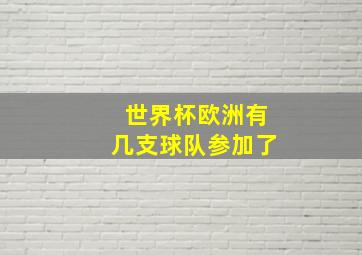 世界杯欧洲有几支球队参加了