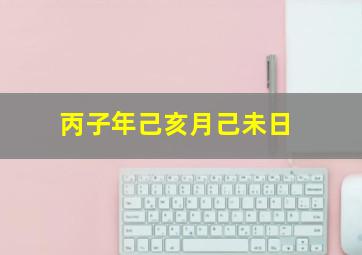 丙子年己亥月己未日