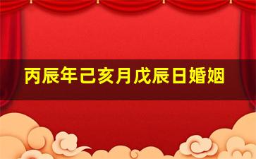 丙辰年己亥月戊辰日婚姻