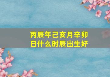 丙辰年己亥月辛卯日什么时辰出生好