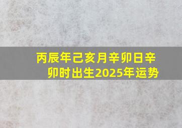 丙辰年己亥月辛卯日辛卯时出生2025年运势