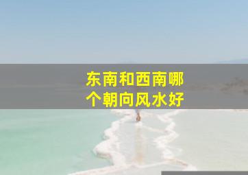 东南和西南哪个朝向风水好