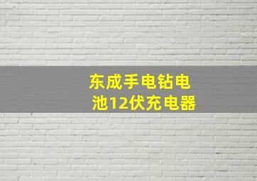 东成手电钻电池12伏充电器