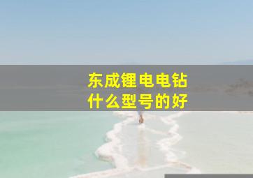 东成锂电电钻什么型号的好