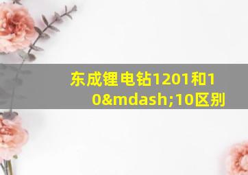 东成锂电钻1201和10—10区别