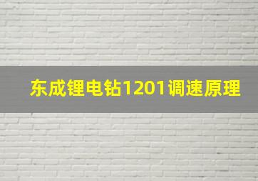 东成锂电钻1201调速原理