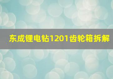 东成锂电钻1201齿轮箱拆解