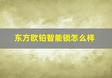 东方欧铂智能锁怎么样