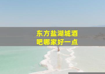 东方盐湖城酒吧哪家好一点