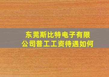 东莞斯比特电子有限公司普工工资待遇如何