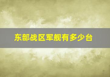 东部战区军舰有多少台