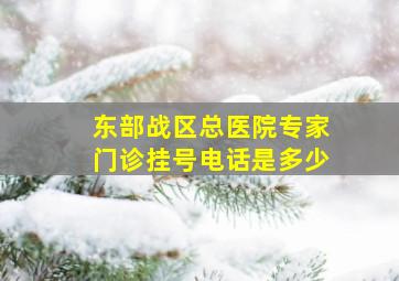 东部战区总医院专家门诊挂号电话是多少