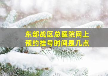 东部战区总医院网上预约挂号时间是几点