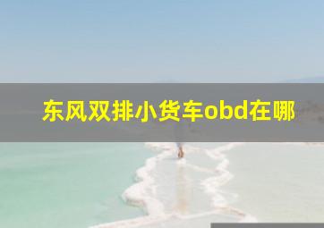 东风双排小货车obd在哪