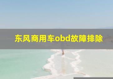 东风商用车obd故障排除