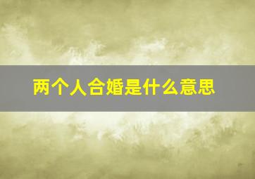 两个人合婚是什么意思