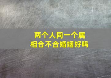 两个人同一个属相合不合婚姻好吗