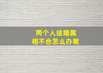 两个人结婚属相不合怎么办呢