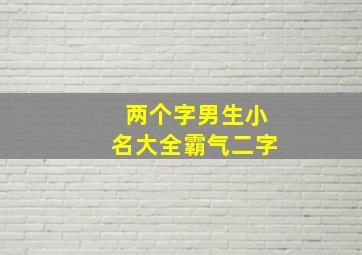 两个字男生小名大全霸气二字