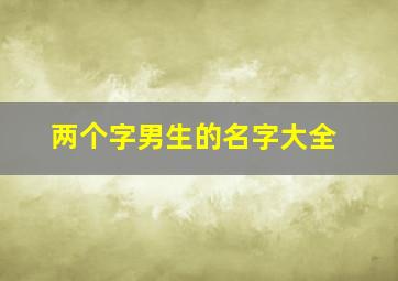 两个字男生的名字大全