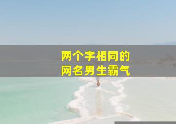 两个字相同的网名男生霸气