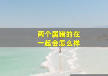 两个属猪的在一起会怎么样