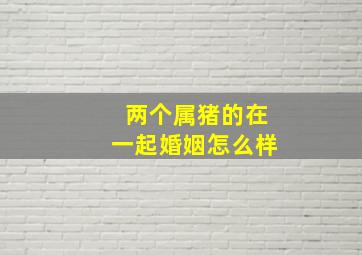 两个属猪的在一起婚姻怎么样