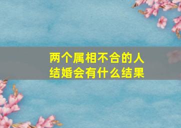 两个属相不合的人结婚会有什么结果