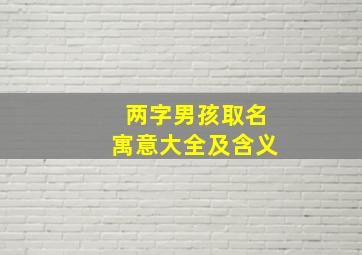 两字男孩取名寓意大全及含义