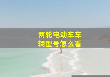 两轮电动车车辆型号怎么看